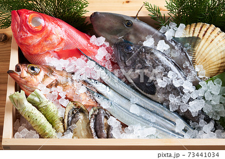 鮮魚盛り合わせ 73441034