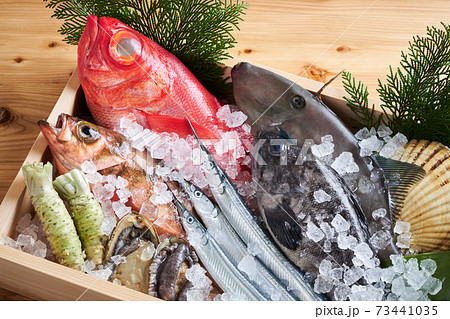 鮮魚盛り合わせ 鮮魚盛り合わせ 73441035