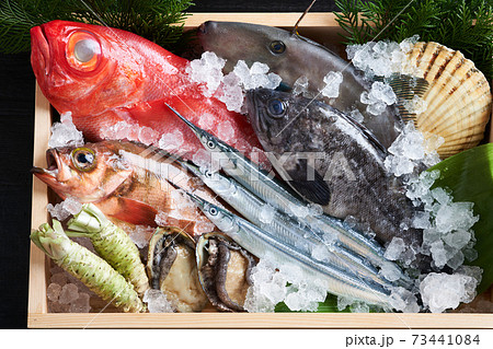 鮮魚盛り合わせ 73441084