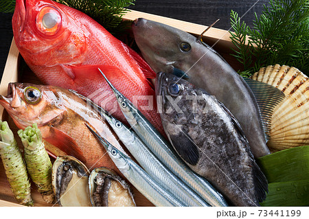 鮮魚盛り合わせ 73441199