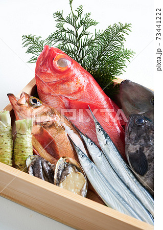 鮮魚盛り合わせ 73441222
