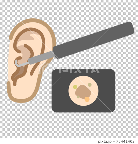 耳かき　カメラ 73441402