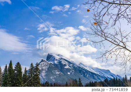 Close-up snow-covered Mount Rundle with snowy forest. Banff National Park beautiful landscape in winter. Canadian Rockies, Alberta, Canada. 73441859