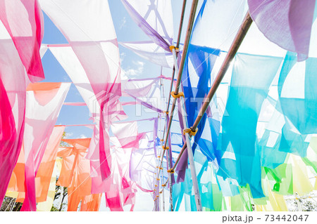 滋賀県 琵琶湖の見える丘 虹のカーテン 73442047