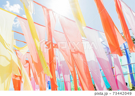 滋賀県 琵琶湖の見える丘 風鈴のよし小道 滋賀県 琵琶湖の見える丘 風鈴のよし小道 73442049