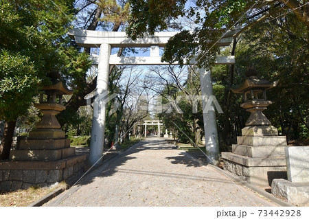 高浜市春日神社参道 高浜市春日神社参道 73442928