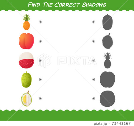 Find the correct shadows of cartoon fruits. Searching and Matching game. Educational game for pre shool years kids and toddlers Find the correct shadows of cartoon fruits. Searching and Matching game. Educational game for pre shool years kids and toddlers 73443167