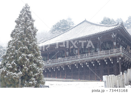 雪降る東大寺二月堂と良弁杉 73443168