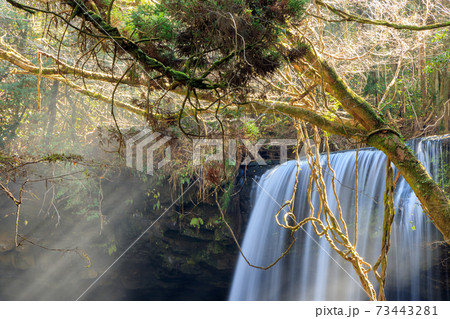 秋の鍋ヶ滝 熊本県小国町 秋の鍋ヶ滝 熊本県小国町 73443281