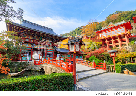 秋の祐徳稲荷神社　佐賀県鹿島市 73443642