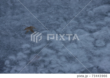 茨城　大子　真冬の久慈川 73443966