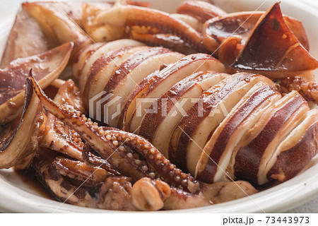 美味しい焼きイカ 73443973