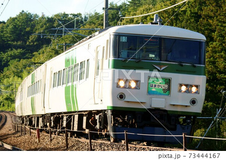 夕日を浴びて横浜へ向かう特急「はまかいじ」（185系200番台） 73444167