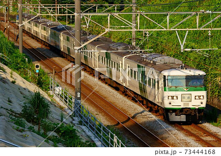 185系　回送列車 73444168