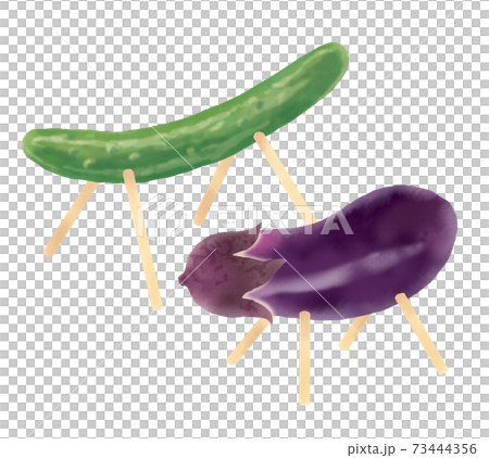 リアルな水彩タッチの精霊馬のイラストのイラスト素材