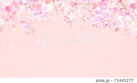 桜の背景 - 複数のバリエーションがあります 73445277