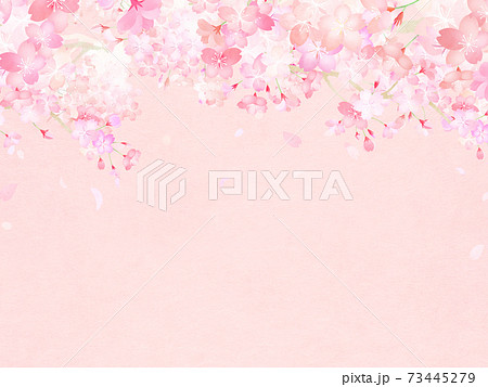 桜の背景 - 複数のバリエーションがあります 73445279