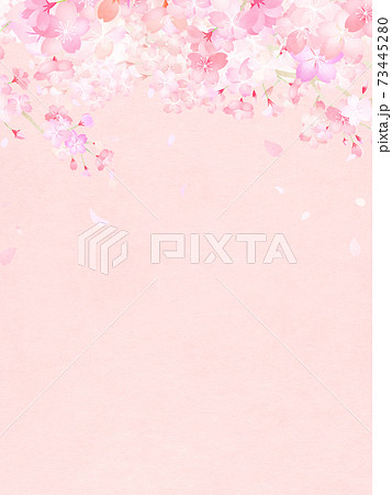 桜の背景 - 複数のバリエーションがあります 73445280