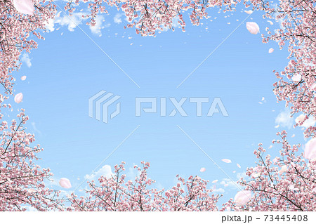 背景 テクスチャ 桜 空 花 花びら 花吹雪 桜吹雪 桜散る 花舞 フレーム 73445408
