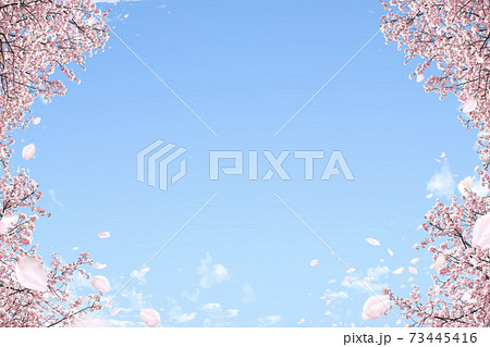 背景 テクスチャ 桜 空 花 花びら 花吹雪 桜吹雪 桜散る 花舞 フレームの写真素材