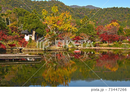 京都の紅葉　大覚寺　大沢池 73447266