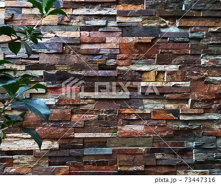 不規則なレンガの壁とヒイラギの葉 ヨコの写真素材