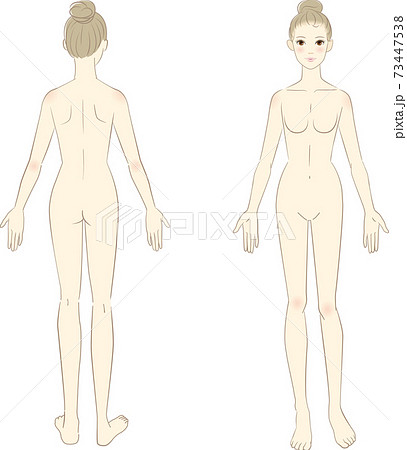 女性の体イラスト 正面 後ろ姿のイラスト素材