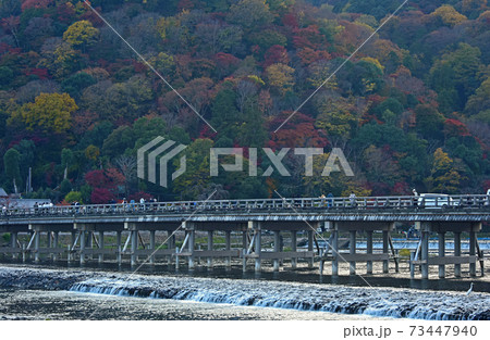 京都の紅葉 渡月橋 京都の紅葉 渡月橋 73447940