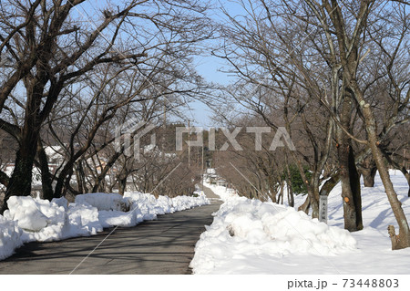 積雪のあらた坂（福井県 あわら市） 73448803