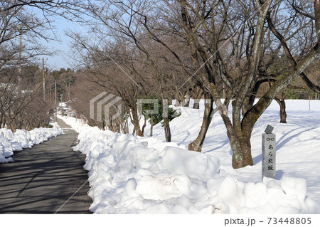 積雪のあらた坂(福井県 あわら市) 積雪のあらた坂(福井県 あわら市) 73448805