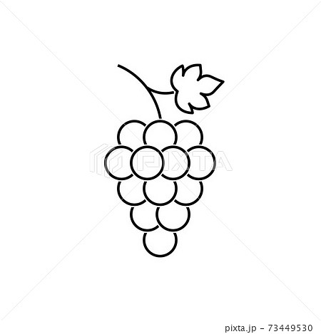 Bunch of grapes fruit with leaf icon Bunch of grapes fruit with leaf icon 73449530