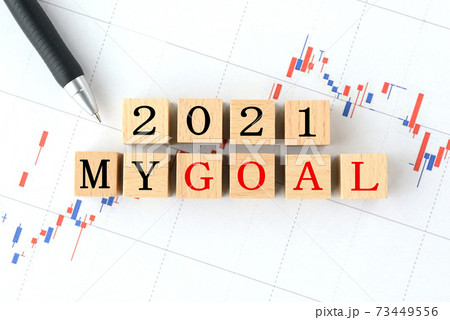 2021年の株式投資の目標イメージ 73449556