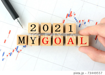2021年の株式投資の目標イメージ 2021年の株式投資の目標イメージ 73449557