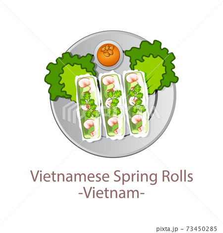 top view of popular food of ASEAN national,Vietnamese Spring Rolls,in cartoon top view of popular food of ASEAN national,Vietnamese Spring Rolls,in cartoon 73450285