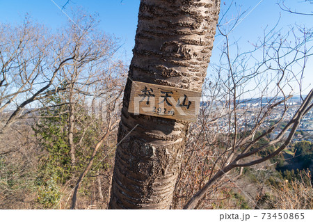 網代弁天山の山頂（網代弁天山・網代城山） 73450865