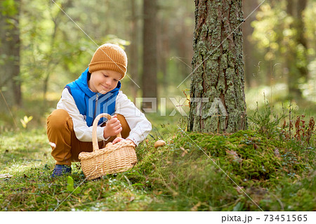 happy boy with basket picking mushrooms in forest 73451565