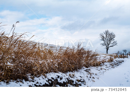 冬の積雪の残る押戸石の丘冬景色の写真素材 [73452045] - PIXTA