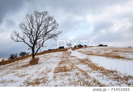 冬の積雪の残る押戸石の丘冬景色の写真素材 [73452083] - PIXTA