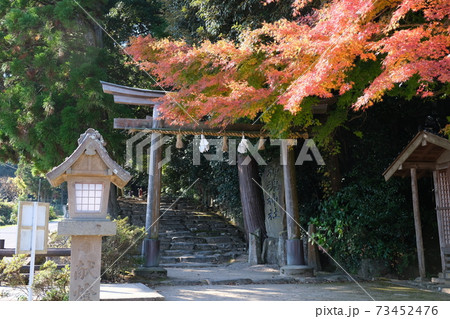 島根の神魂神社の鳥居と紅葉 島根の神魂神社の鳥居と紅葉 73452476