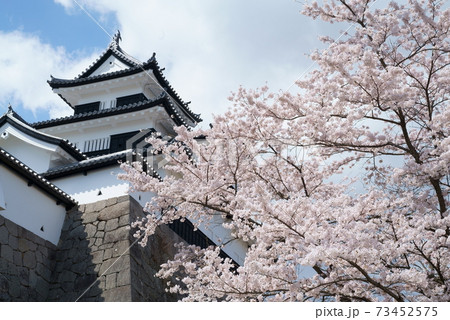 福島県 白河小峰城 三重櫓とソメイヨシノ 73452575