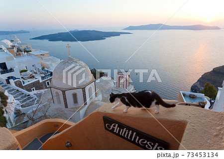 Cat, church & Fira town at sunset, Fira, Santorini, Cyclades Islands, Greece Cat, church & Fira town at sunset, Fira, Santorini, Cyclades Islands, Greece 73453134