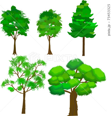 A Little Realistic Wood Variation Set Stock Illustration