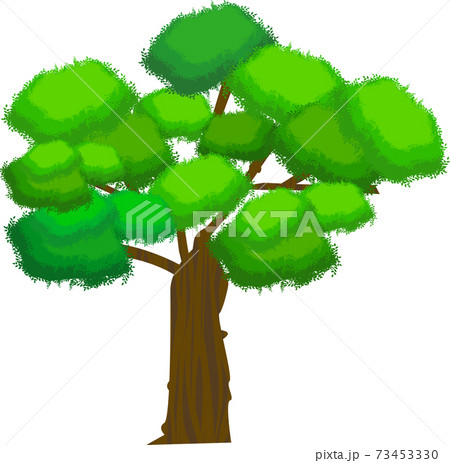 A Solid Tree With A Thick Trunk Stock Illustration