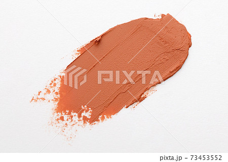 リップの色見本 73453552