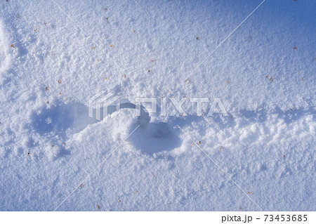 雪の足跡 雪の足跡 73453685