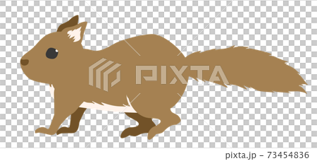 Risu 01 color - Stock Illustration [73454836] - PIXTA