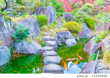 目白庭園の風景 73456946