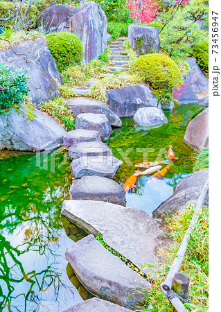 目白庭園の風景 目白庭園の風景 73456947