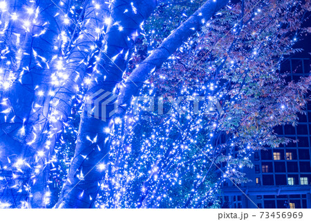 六本木けやき坂のイルミネーション 73456969