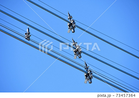 電線に取り付けられた鳥よけ 電線に取り付けられた鳥よけ 73457364